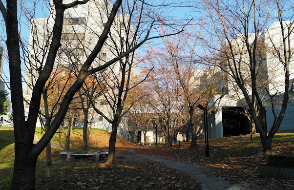 北陆先端科学技术大学院大学
